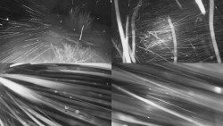 Sdružený snímek Bludný