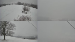 Sdružený snímek Bludný