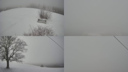 Sdružený snímek Bludný