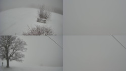 Sdružený snímek Bludný