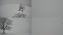 Sdružený snímek Bludný