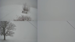 Sdružený snímek Bludný