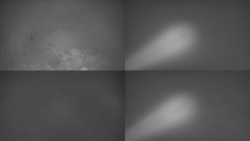 Sdružený snímek Bludný