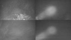 Sdružený snímek Bludný