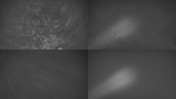 Sdružený snímek Bludný