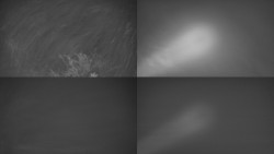 Sdružený snímek Bludný