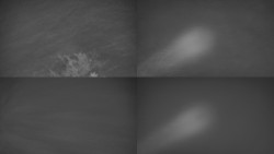 Sdružený snímek Bludný