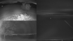 Sdružený snímek Bludný