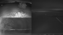 Sdružený snímek Bludný