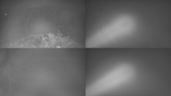 Sdružený snímek Bludný