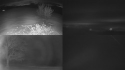 Sdružený snímek Bludný