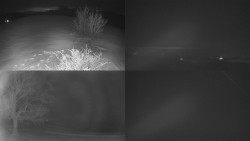 Sdružený snímek Bludný