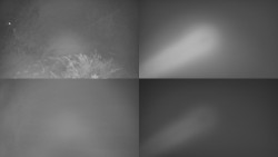 Sdružený snímek Bludný