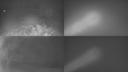 Sdružený snímek Bludný