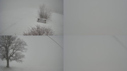 Sdružený snímek Bludný