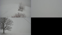 Sdružený snímek Bludný