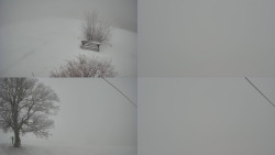 Sdružený snímek Bludný