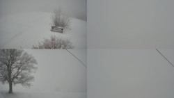 Sdružený snímek Bludný