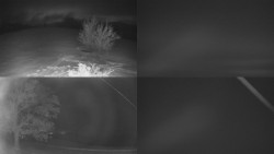 Sdružený snímek Bludný