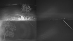 Sdružený snímek Bludný