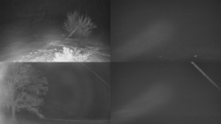 Sdružený snímek Bludný