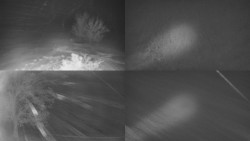 Sdružený snímek Bludný