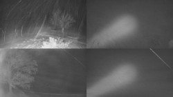 Sdružený snímek Bludný