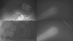 Sdružený snímek Bludný