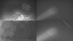 Sdružený snímek Bludný