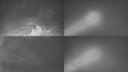 Sdružený snímek Bludný