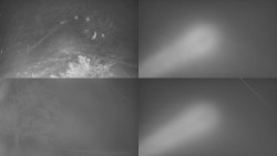 Sdružený snímek Bludný