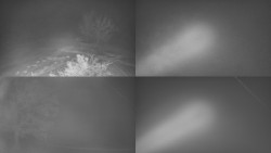 Sdružený snímek Bludný