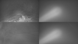 Sdružený snímek Bludný