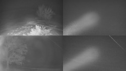 Sdružený snímek Bludný