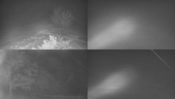 Sdružený snímek Bludný