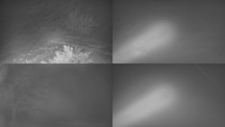 Sdružený snímek Bludný