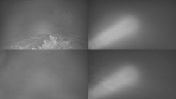 Sdružený snímek Bludný