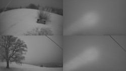 Sdružený snímek Bludný