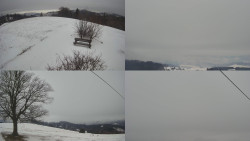 Sdružený snímek Bludný