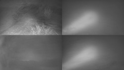 Sdružený snímek Bludný