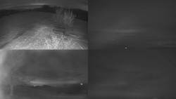 Sdružený snímek Bludný