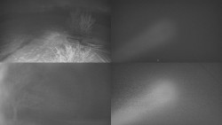 Sdružený snímek Bludný