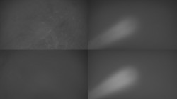 Sdružený snímek Bludný