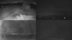 Sdružený snímek Bludný