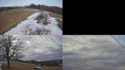 Sdružený snímek Bludný