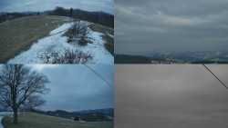 Sdružený snímek Bludný