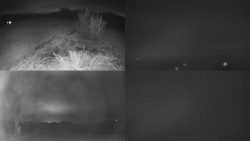 Sdružený snímek Bludný