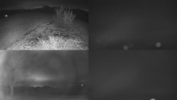 Sdružený snímek Bludný