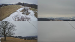 Sdružený snímek Bludný