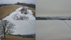 Sdružený snímek Bludný